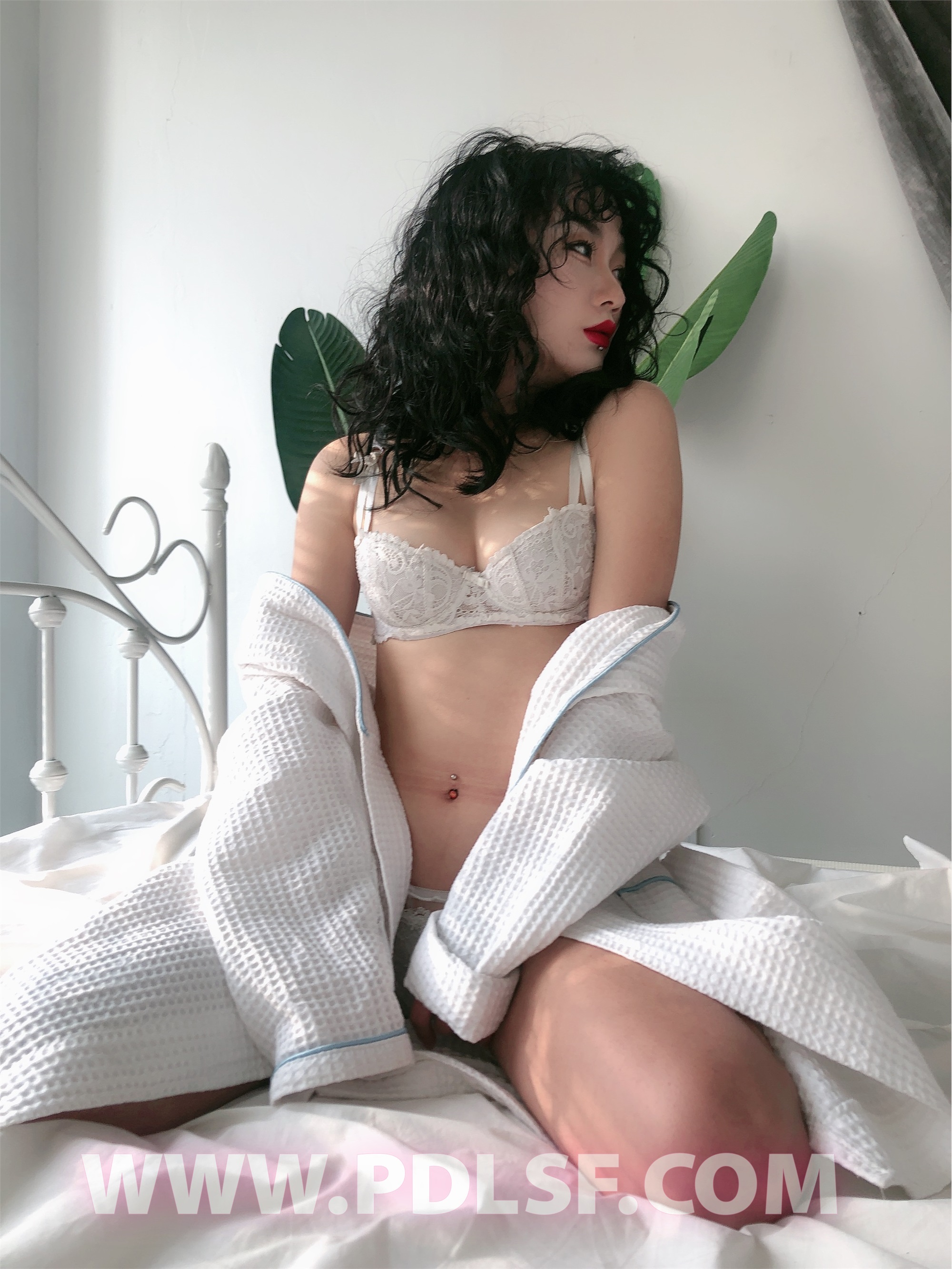 PDL潘多拉 2020.02.03 专辑No.277